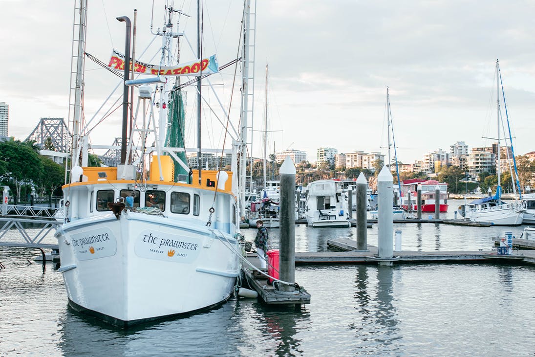 small prawn trawler in a marina